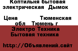 Коптильня бытовая электрическая “Дымок“ › Цена ­ 4 000 - Тюменская обл., Тюмень г. Электро-Техника » Бытовая техника   